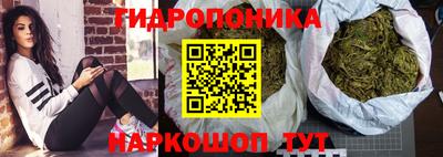 ГАЛЛЮЦИНОГЕННЫЕ ГРИБЫ Тара