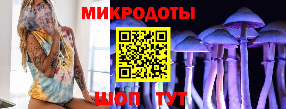 Псилоцибиновые грибы GOLDEN TEACHER  где найти   Мурманск  Вход с VPN 